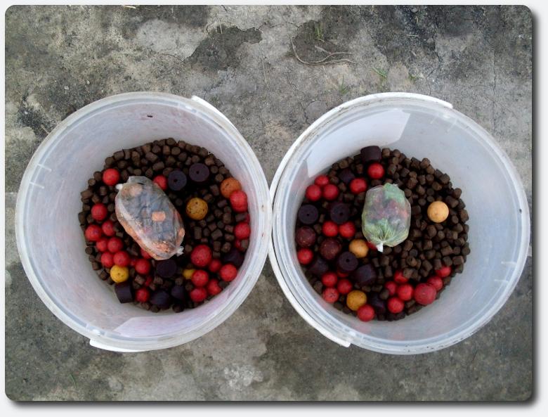 Solar - sdc11060.jpg